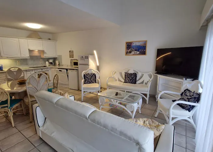 : 3 Pièces, Climatisé, Terrasse, Parking Privatif, Animaux Acceptés - Fr-1-780-17