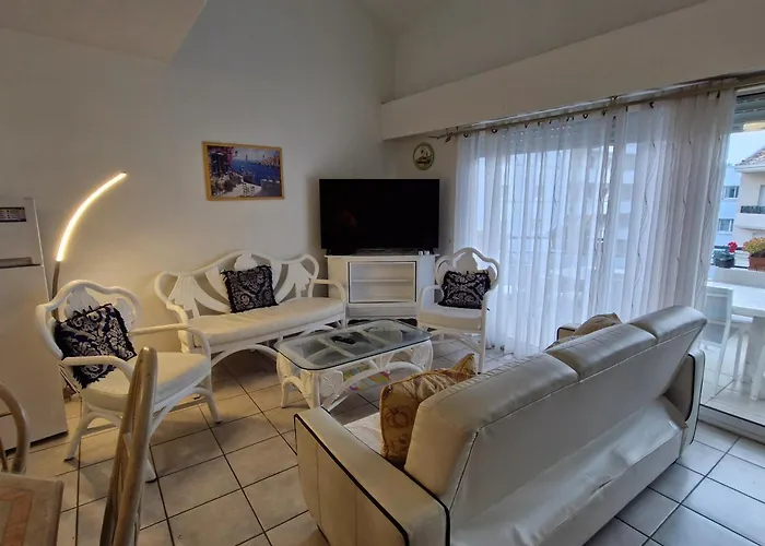 Apartment 3 Pieces Climatise Avec Terrasse Et Parking, Centre-ville - Fr-1-780-17